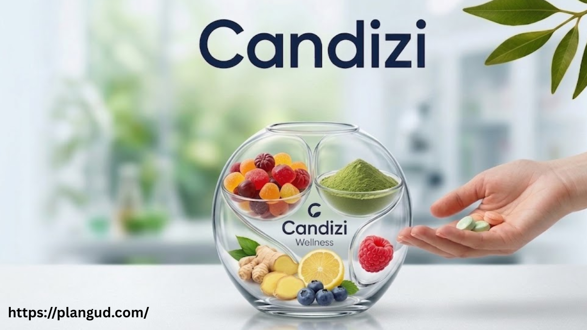 Candizi