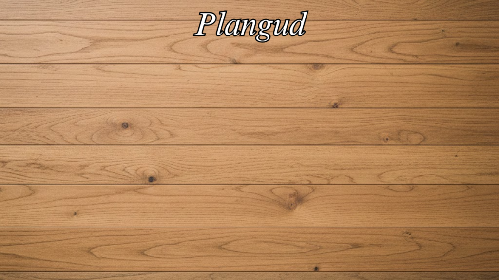 Plangud