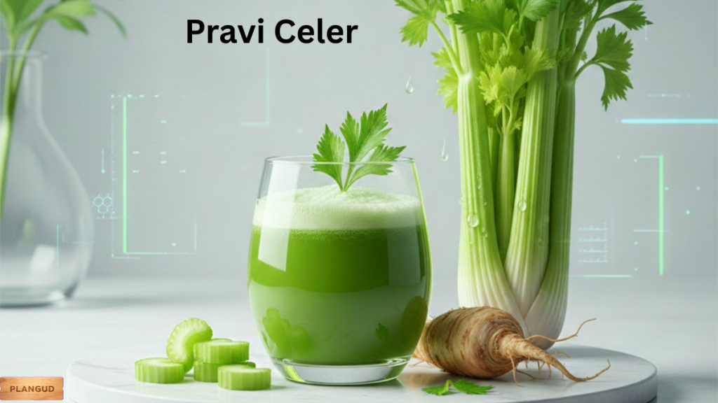 Pravi Celer
