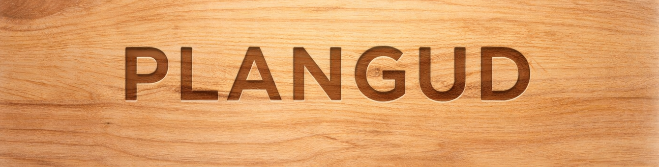 plangud.com