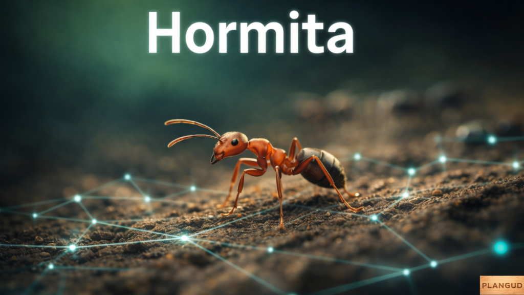 Hormita