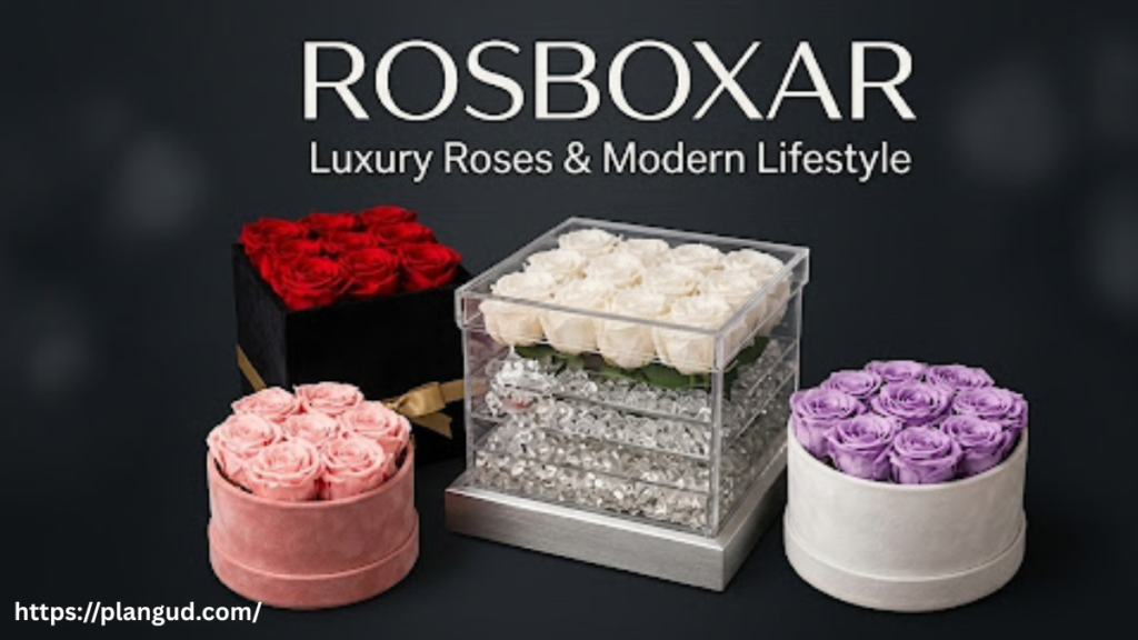 Rosboxar