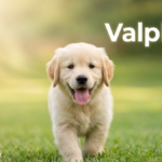Valplekar